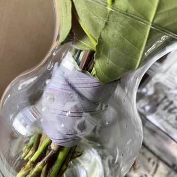 Provincetown Florist - Wrapped with our fathers tie per special request! - Florists Near Me - Provincetown, Massachusetts Provincetown Florist - Wrapped with our fathers tie per special request! - Florists Near Me - Provincetown, Massachusetts