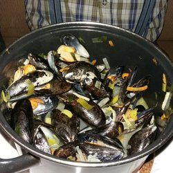 Hippelanker Wirtshaus - Muscheln