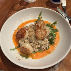 The Pier - Scallops on a bed of risotto.