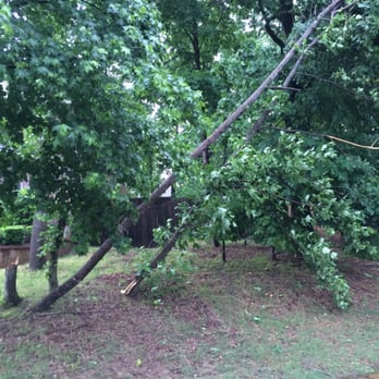 Red's Tree Service - Did not hit SUV or fence. - Tree Services Near Me - Memphis, Tennessee Red's Tree Service - Did not hit SUV or fence. - Tree Services Near Me - Memphis, Tennessee