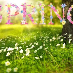 Jennifer4Hair - Spring is an excellent opportunity to Spring into A New You
