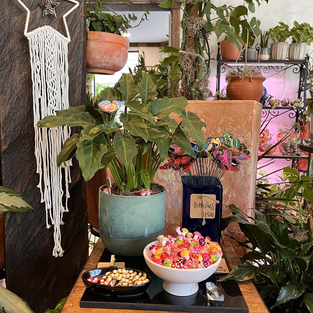 Artesano Cafe - Cute DIY Arts & Crafts items - Coffee Roasteries Near Me - Philadelphia, Pennsylvania Artesano Cafe - Cute DIY Arts & Crafts items - Coffee Roasteries Near Me - Philadelphia, Pennsylvania