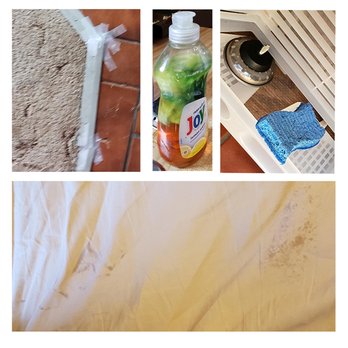 Antler Ridge Cabins - Dirty Sheets Crusty sponge Disgusting dish soap floor in need of repair - Vacation Rentals Near Me - Greer, Arizona