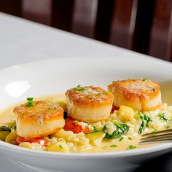 Scallops