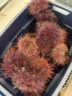 Wong Tung Seafood by null