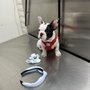 Photo of Imperial Animal Hospital