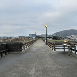 Oyster Point Marina - View from the pier.