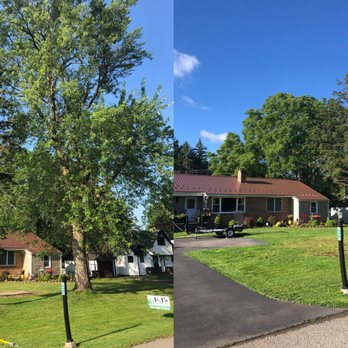 A&A's Tree Service - Highest-Rated Tree Service in Clarence Center - Call 716-799-8733 today for a free estimate - Tree Services Near Me - Clarence Center, New York A&A's Tree Service - Highest-Rated Tree Service in Clarence Center - Call 716-799-8733 today for a free estimate - Tree Services Near Me - Clarence Center, New York