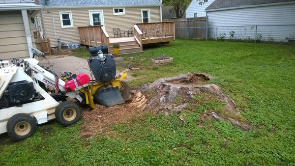 Stump Grinding - All stumps from large to small in most areas can be removed. Stump Grinding - All stumps from large to small in most areas can be removed.