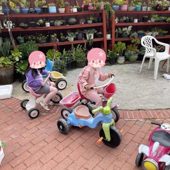Grace Chinese Daycare - Child Care & Day Care Near Me Grace Chinese Daycare - Child Care & Day Care Near Me