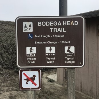 Sonoma Coast State Beach - Parks Near Me - Bodega Bay, California Sonoma Coast State Beach - Parks Near Me - Bodega Bay, California