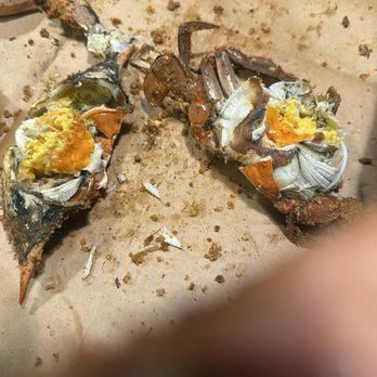 Blue Crabs Unlimited - Female Crabs Innards - look at those eggs - Seafood Near Me - Elkridge, Maryland Blue Crabs Unlimited - Female Crabs Innards - look at those eggs - Seafood Near Me - Elkridge, Maryland