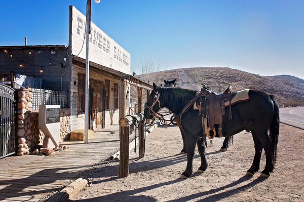 Pioneer Saloon by null