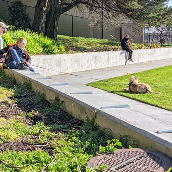 West Sunset Fields - At least Fido is on a lead? But he's on the pitch, so...no. Also: Limbo, anyone? - Parks Near Me - San Francisco, California