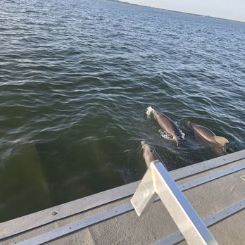 Captain Hirams River King - Dolphins! - Boat Tours Near Me - Sebastian, Florida