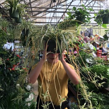 The Garden - Nurseries & Gardening Near Me - Santa Cruz, California