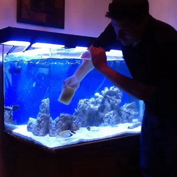 Aquatica Corals and Custom Aquariums - Aquarium Services Near Me - San Marcos, California Aquatica Corals and Custom Aquariums - Aquarium Services Near Me - San Marcos, California