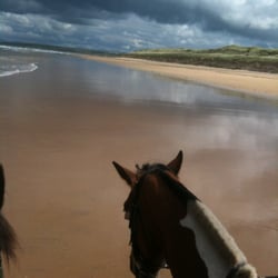 Donegal Equestrian Centre