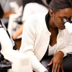 Maricopa Community Colleges