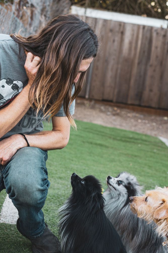 Home Away From Home - pet boarding facility in Delhi, CA