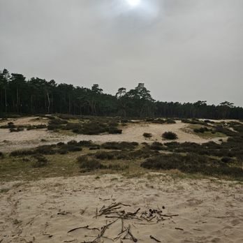 Holmer Sandberge - Hotels & Travel Near Me - Wedel, SH