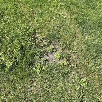 Chimy’s Landscaping - Landscaping Near Me