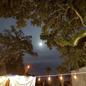 Orlando Fringe - Festivals Near Me - Orlando, Florida Orlando Fringe - Festivals Near Me - Orlando, Florida