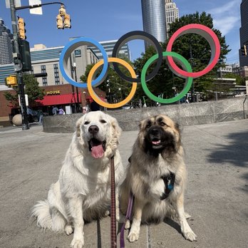 Centennial Olympic Park - Parks Near Me - Atlanta, Georgia