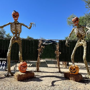 Sign Bar - Entrance to the maze - Bars Near Me - Austin, Texas