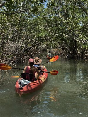 Happy Paddler Kayak Tours & EcoVentures by null