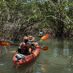 Happy Paddler Kayak Tours & EcoVentures - Kayaking through mangroves on the Mangrove Tunnels Kayak Tour with Happy Paddler