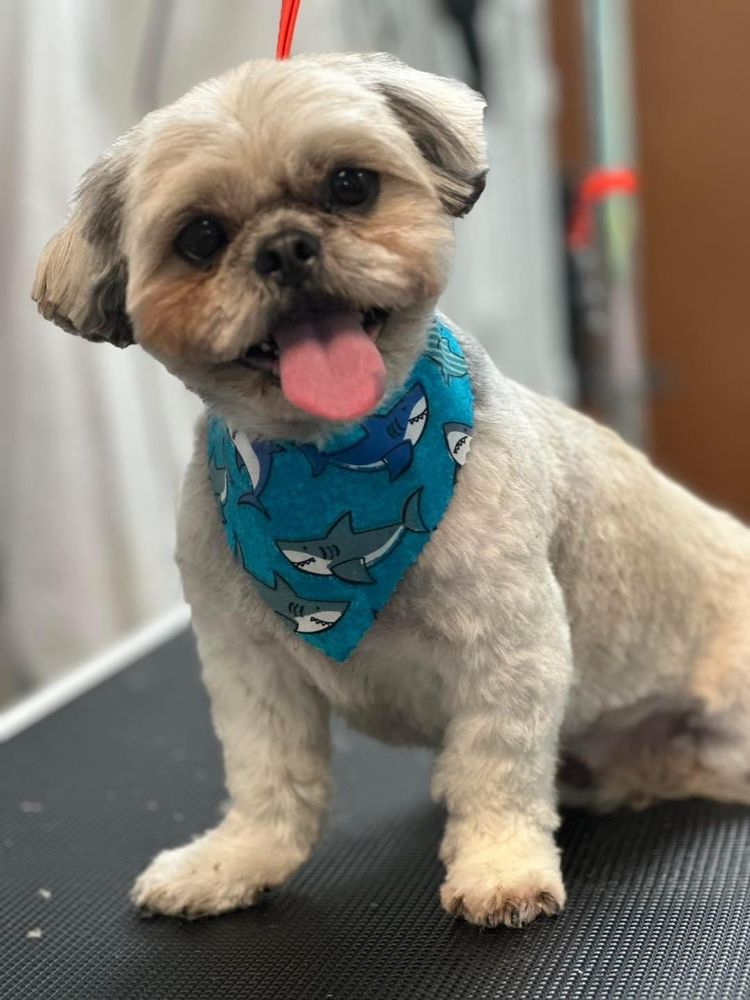 THE GROOM ROOM Updated October 2024 104 Photos & 75 Reviews 5250