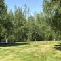 Photo of Caleb’s Custom Lawn Care