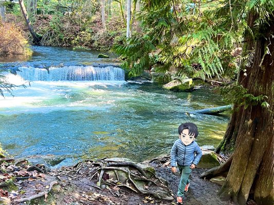 Whatcom Falls by null