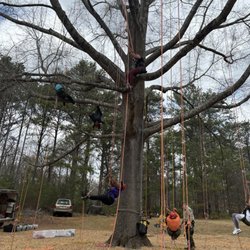 Panola Mountain State Park - We enjoyed a couple hours using ropes to climb a tree.