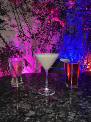 The Silver Fox by null