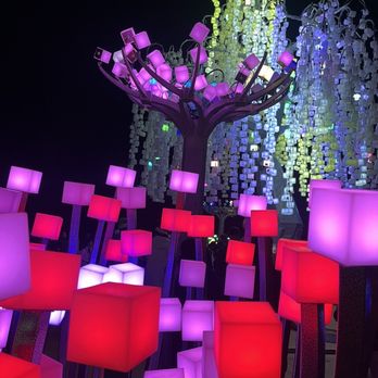 Entwined Lighted Forest - Public Art Near Me - San Francisco, California Entwined Lighted Forest - Public Art Near Me - San Francisco, California