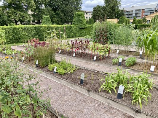 The Linnaeus Museum by null