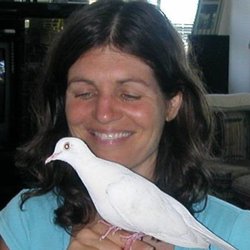 Laurie Moore