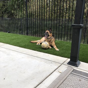 Artificial Turf By Fenix - Artificial Turf Near Me - Rocklin, California Artificial Turf By Fenix - Artificial Turf Near Me - Rocklin, California
