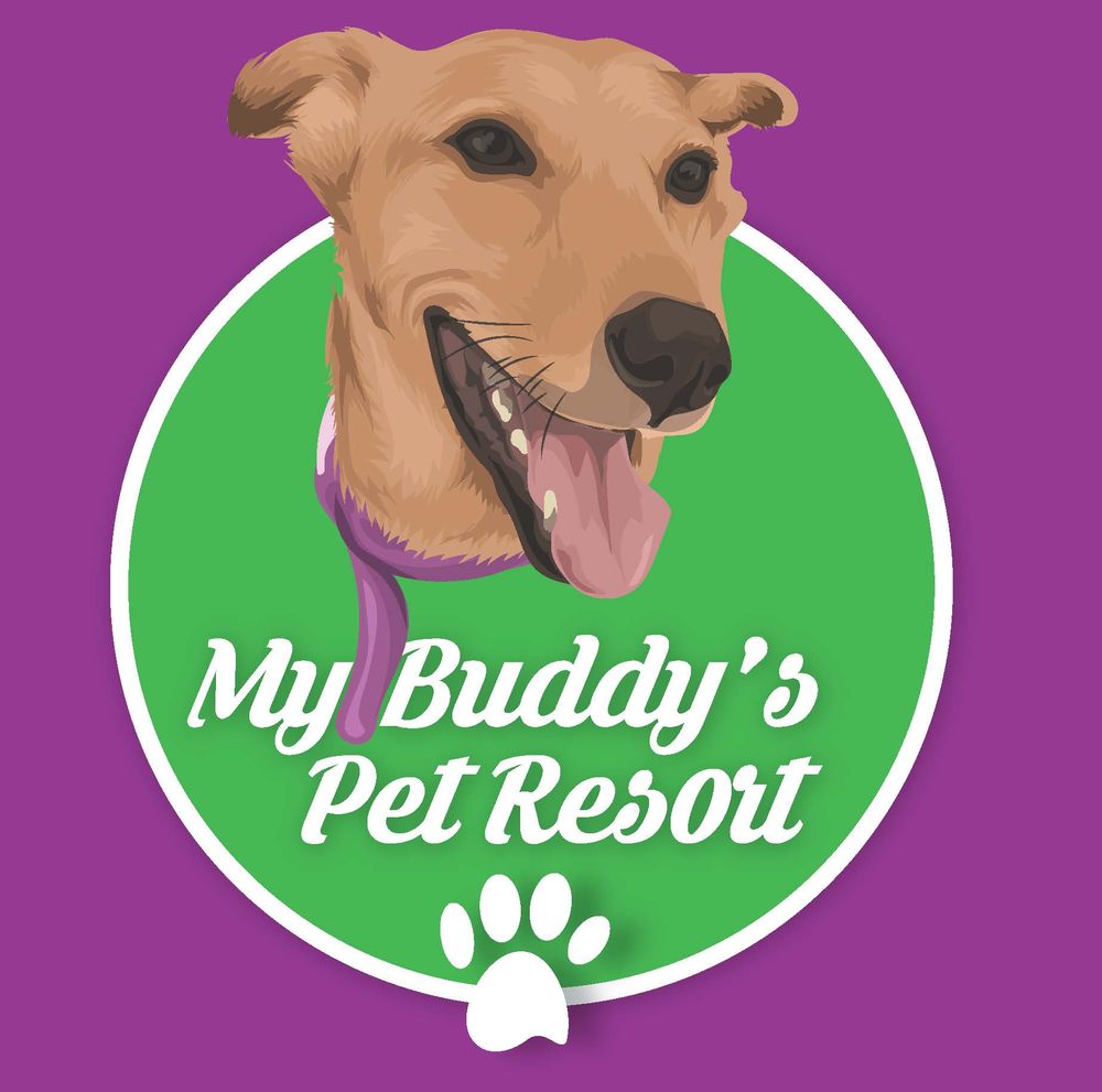 MY BUDDY’S PET RESORT Updated August 2024 11 Reviews 177 Coachman