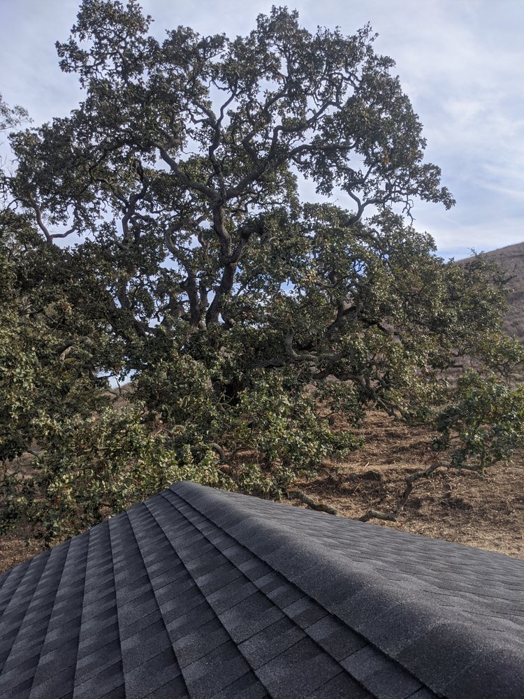 Slide of Amy's Roofing and Solar