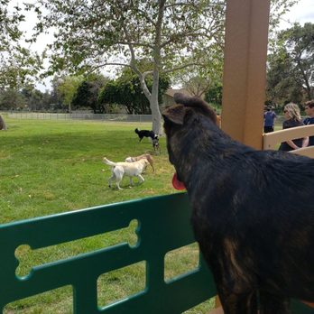 ROHR DOG PARK - Updated August 2024 - 95 Photos & 24 Reviews - 3605