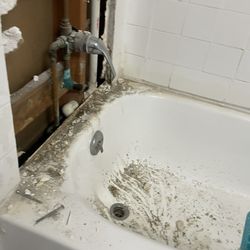 Pear Orchard Apartments - The shower we had to deal with.