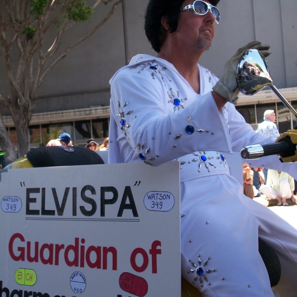 Pasadena Doo Dah Parade - Festivals Near Me - Pasadena, California Pasadena Doo Dah Parade - Festivals Near Me - Pasadena, California