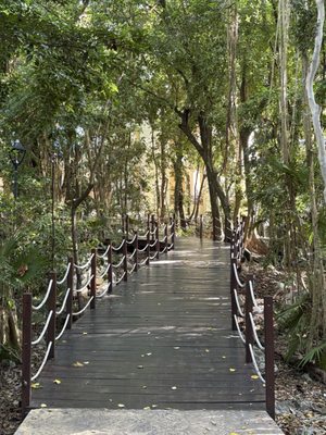 Occidental at Xcaret Destination by null