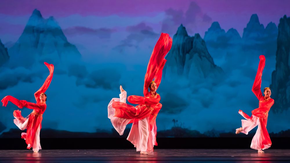 Dance of Asian America - social services organization in Houston, TX