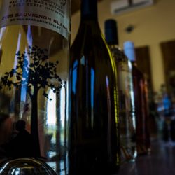 Serendipity Winery