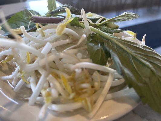I Heart Pho by null