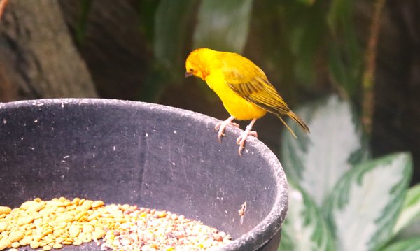 Central Park Zoo by null